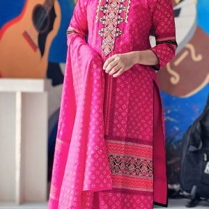 Stitched Cotton Embroidery Work 3 pcs.Size 38)